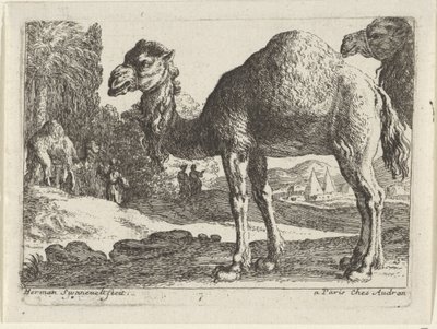 Kamelen Landschappen met dieren (serie titel) door Herman van Swanevelt