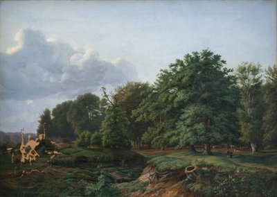 Een bos bij Hellebæk in het noorden van Seeland. Middag. door Hermann Carmiencke