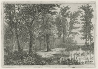 Bosgezicht met een vennetje met eenden door Hermanus Jan Hendrik van Rijkelijkhuysen