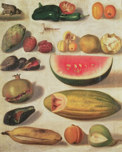 Stilleven met fruit en pad door Hermenegildo Bustos