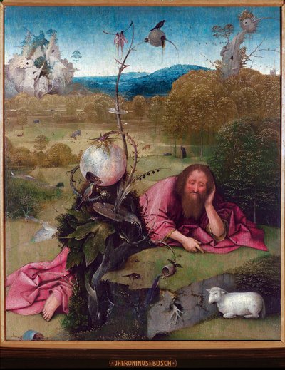 Johannes de Doper in de woestijn door Hieronymus Bosch