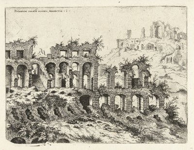 Gezicht op het Colosseum en de Palatijn door Hieronymus Cock