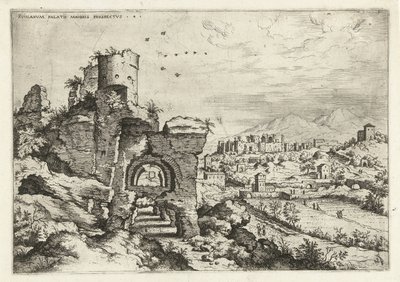Gezicht van de Palatijn op de Thermen van Caracalla Rvinarvm palatii maioris prospectvs 4 Romeinse ruïnes (serie) door Hieronymus Cock