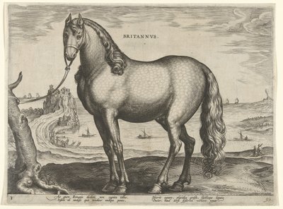 Paard uit Bretagne door Hieronymus Wierix