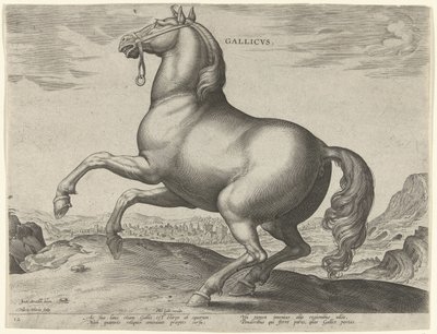 Paard uit Frankrijk door Hieronymus Wierix