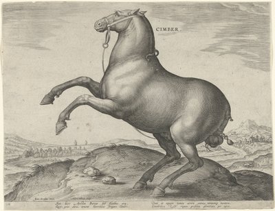 Paard uit Scythië door Hieronymus Wierix