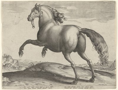 Paard uit Spanje door Hieronymus Wierix