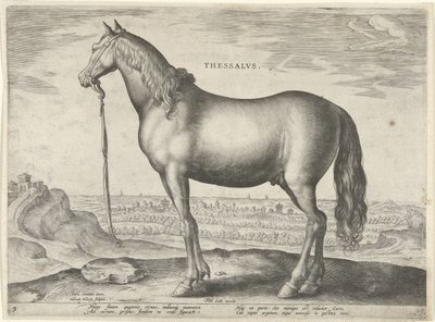 Paard uit Thessalië door Hieronymus Wierix