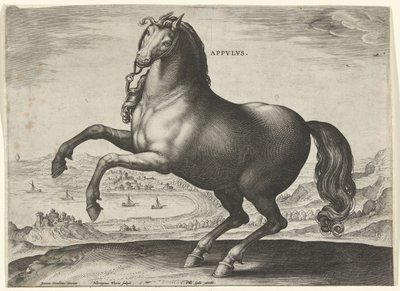 Paard uit Zuid-Italië (Appulus) Paardenrassen uit de Koninklijke stallen van Don Juan van Oostenrijk (serie titel) door Hieronymus Wierix
