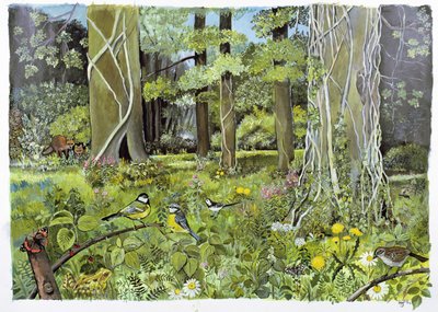 Achter de Squires, Devon door Hilary Jones