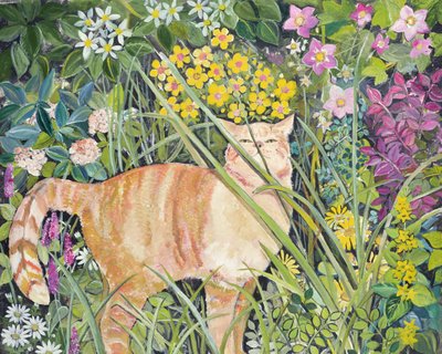 Kat en lang gras door Hilary Jones