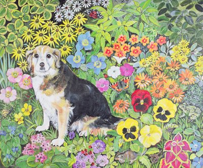 Caylie in de grens door Hilary Jones