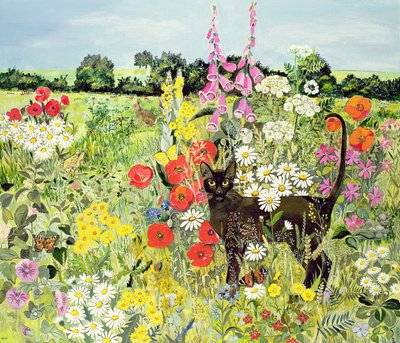 Zomerkat door Hilary Jones