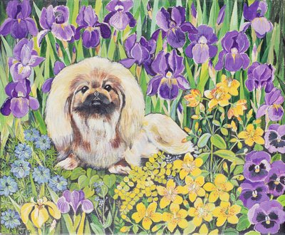 Wilma door Hilary Jones