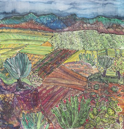 Oaxaca Landschap door Hilary Simon