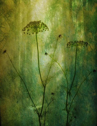  door Hilda van der Lee