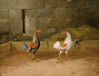 De Uitdaging door Hilton L. Jnr. Pratt