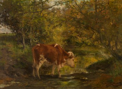  door Hippolyte Boulenger