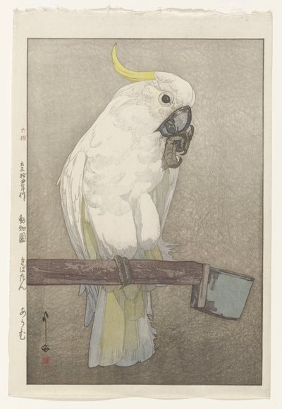 Zwavelkuifkaketoe door Hiroshi Yoshida