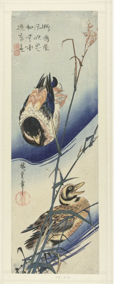 Eenden bij riet door Hiroshige (I) , Utagawa