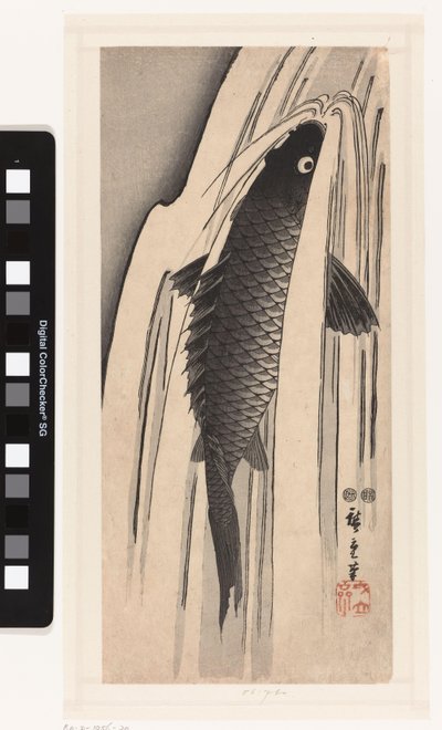 Karper opzwemmend tegen een waterval door Hiroshige (I) , Utagawa