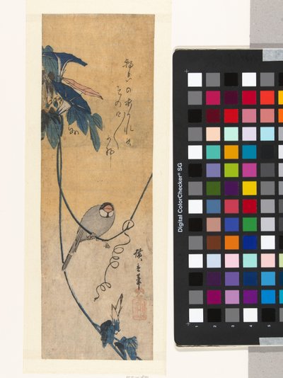 Vogel en blauwe winde door Hiroshige (I) , Utagawa
