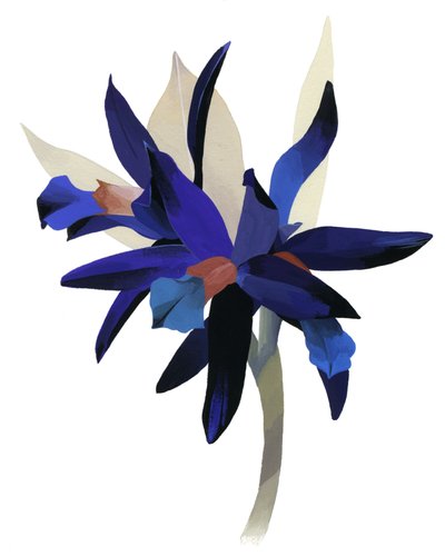 Een denkbeeldige bloem met een blauwe basis door Hiroyuki Izutsu