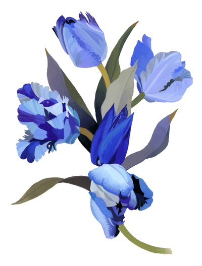 Blauwe Tulp door Hiroyuki Izutsu