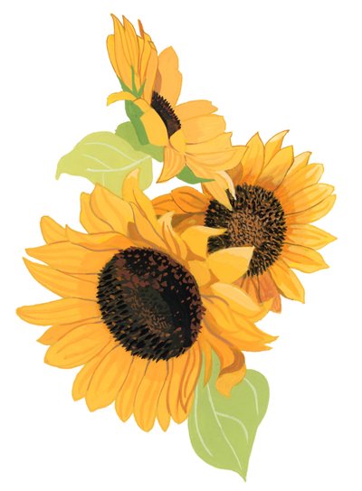 Zonnebloem door Hiroyuki Izutsu