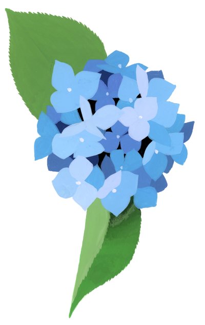 Hortensia door Hiroyuki Izutsu