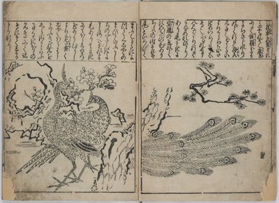 Een verzameling bloemen en vogels (Kacho zukushi) door Hishikawa Moronobu
