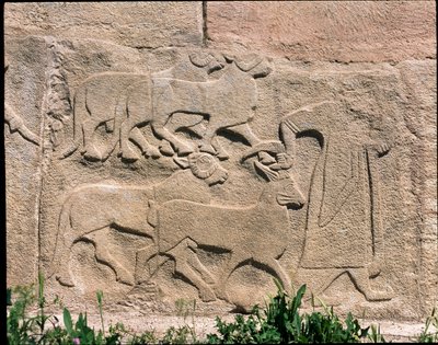 Uitzicht op de basis van reliëfs van de Poort van de Sfinx door Hittite Hittite