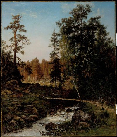  door Hjalmar Munsterhjelm