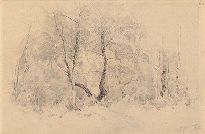  door Hjalmar Munsterhjelm