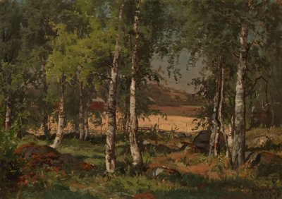  door Hjalmar Munsterhjelm