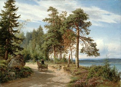 Weg in Finland door Hjalmar Munsterhjelm