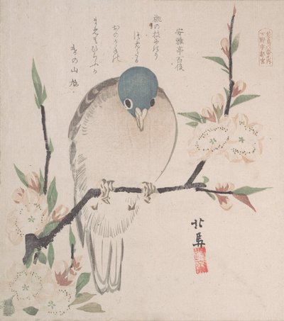 Lente Regen Collectie Harusame shu, vol. 3: Bergduif en perzikbloemen door Hokuba