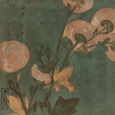 Chrysanten, Edo-periode, late 16e - vroege 17e eeuw door Hon