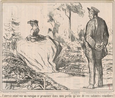 Ik zou liever een orkaan in mijn tuin zien wandelen dan een van die verdomde crinolines! door Honoré Daumier