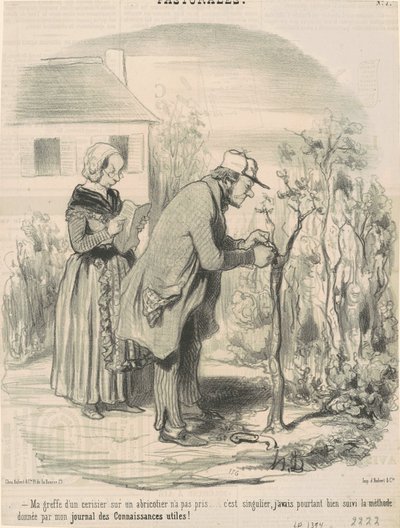 Mijn ent van een kersenboom op een abrikozenboom is niet gelukt door Honoré Daumier