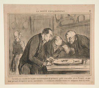 Wetenschappers in extase bij het aanschouwen van de eerste kleine krokodil door Honoré Daumier