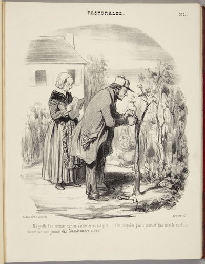 Mijn ent van een kersenboom op een abrikozenboom is niet aangeslagen... door Honoré Daumier