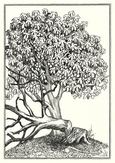 Illustratie voor De Bergrede (gravure) door Horace J. Knowles