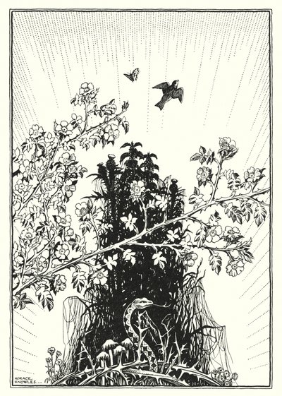 Illustratie voor De Bergrede (gravure) door Horace J. Knowles