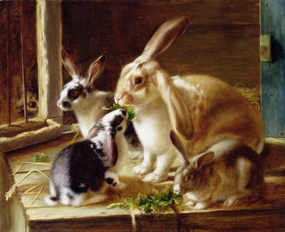Langorige konijnen in een kooi, bekeken door een kat door Horatio Henry Couldery