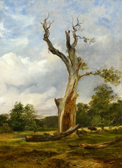 De Verwoeste Boom, c.1838 door Horatio McCulloch