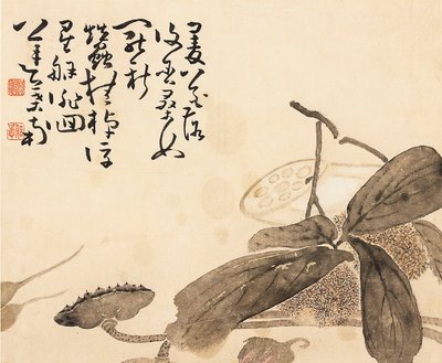 Beschilderd albumblaadje - Lotusplant, 18e eeuw door Huang Shen