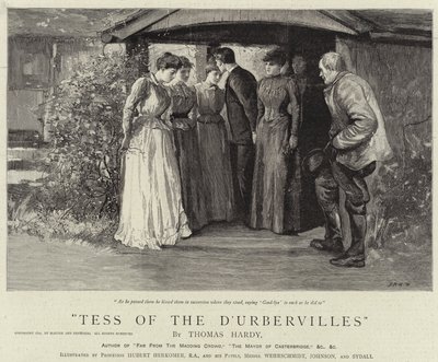 Tess van de d