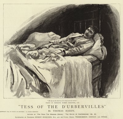 Tess van de d