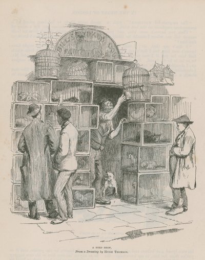 Een Vogelwinkel door Hugh Thomson